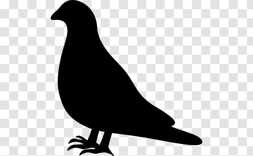 Labrador Retriever Columbidae Bird Rock Dove Clip Art - Dog - Pigeon Transparent PNG