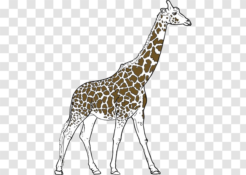 Youre Avin A Giraffe Amazon.com Clip Art - Animal Wildlife Cliparts Transparent PNG