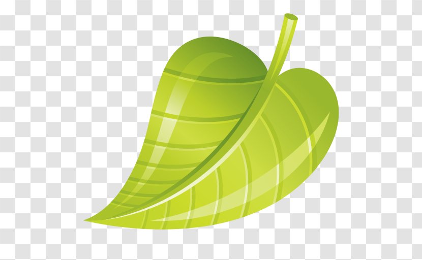 Leaf Fruit - Design Transparent PNG