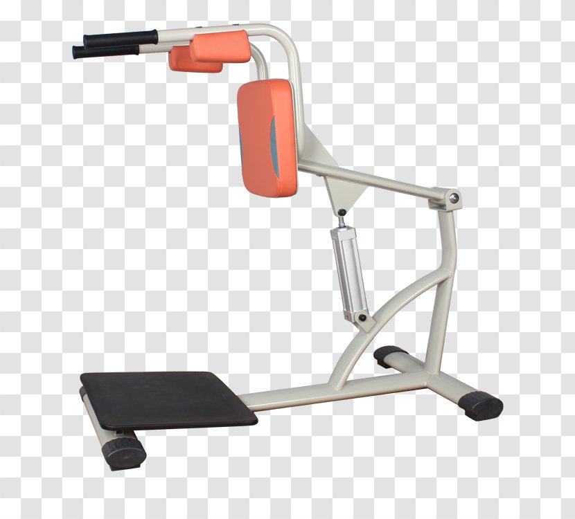 Machine Olympic Weightlifting - Bench - Exercise Transparent PNG