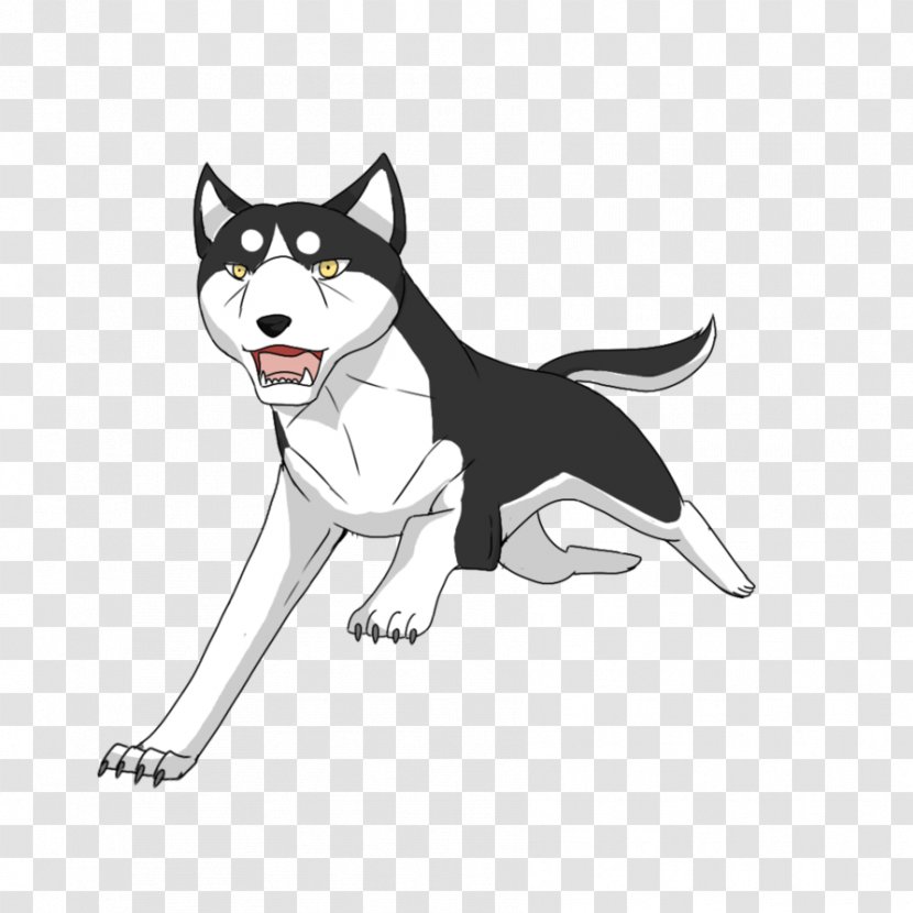 Siberian Husky Dog Breed Sled Cat Leash Transparent PNG