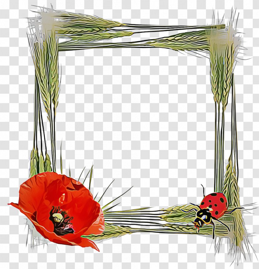 Background Design Frame - Anthurium - Pine Family Floristry Transparent PNG