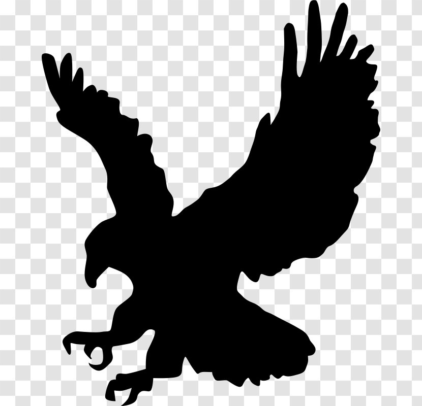 Bald Eagle Bird Clip Art - Black And White Transparent PNG