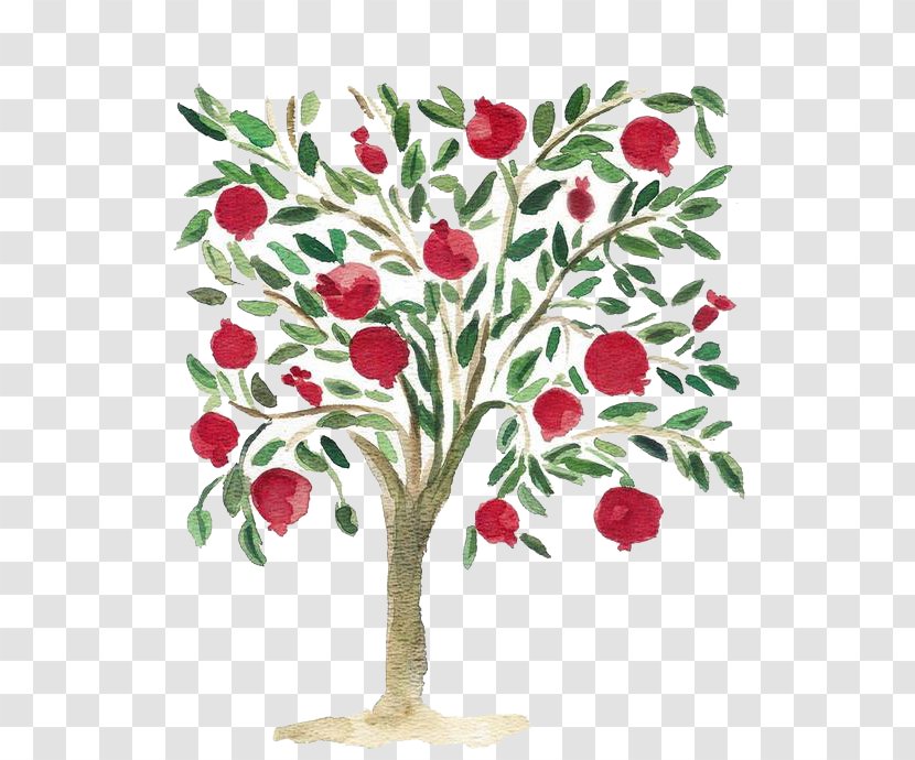 Mediterranean Cuisine Pomegranate Watercolor Painting Tree - Rose Family Transparent PNG
