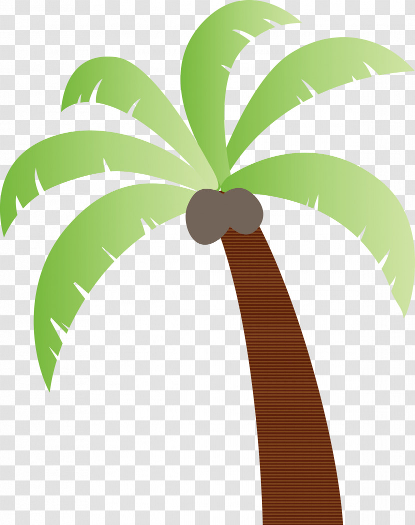 Coconut Transparent PNG