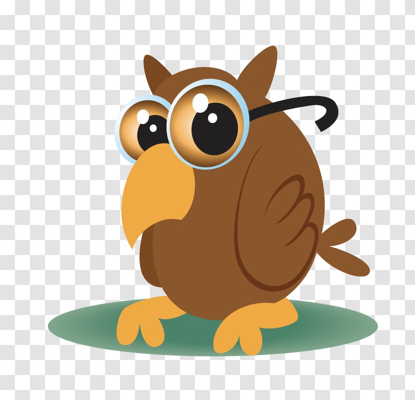 Bird Owl Cartoon - Beak Transparent PNG