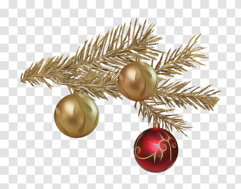 Christmas Ornament - Fir - Plant Conifer Transparent PNG