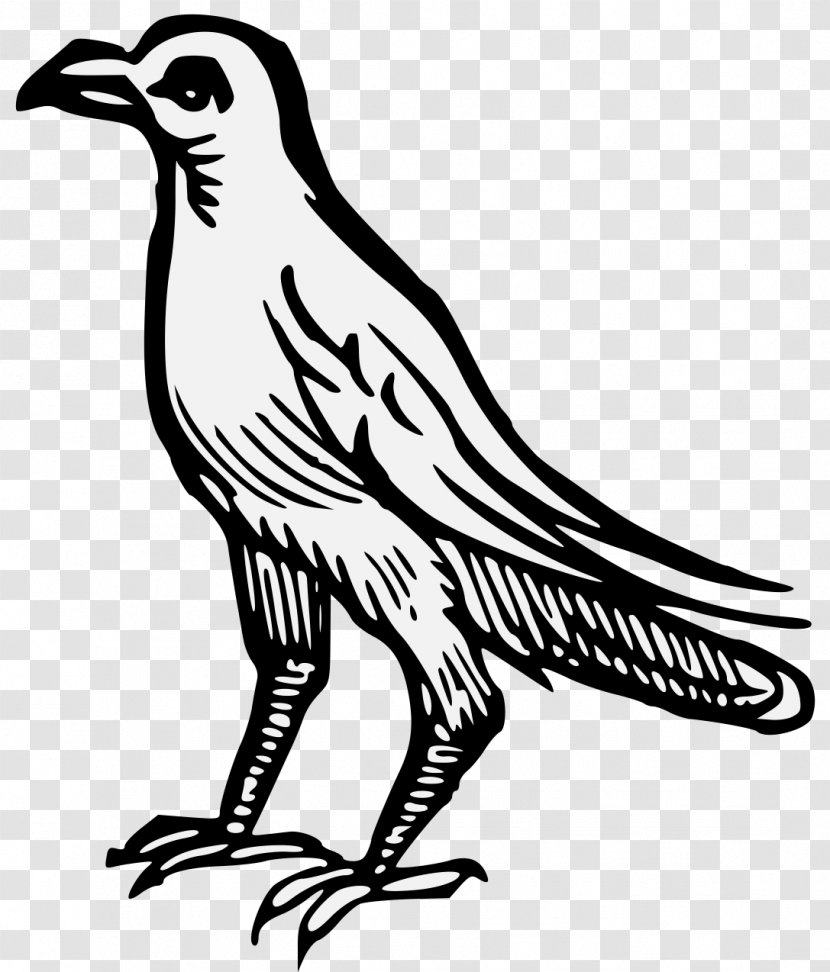 Workes Of Armorie Finch Heraldry Art Clip - Feather - Falcon Transparent PNG