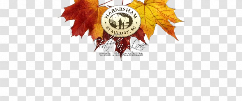 Logo Desktop Wallpaper Brand Font - Tree - Autumn Town Transparent PNG