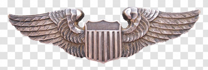 352nd Fighter Group Image Aircraft GIF Pilot - Name - Jewellery Transparent PNG
