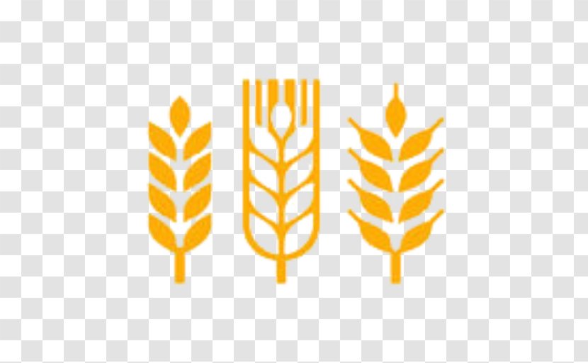 Vector Graphics Wheat Euclidean Illustration Royalty-free - Stock Photography Transparent PNG
