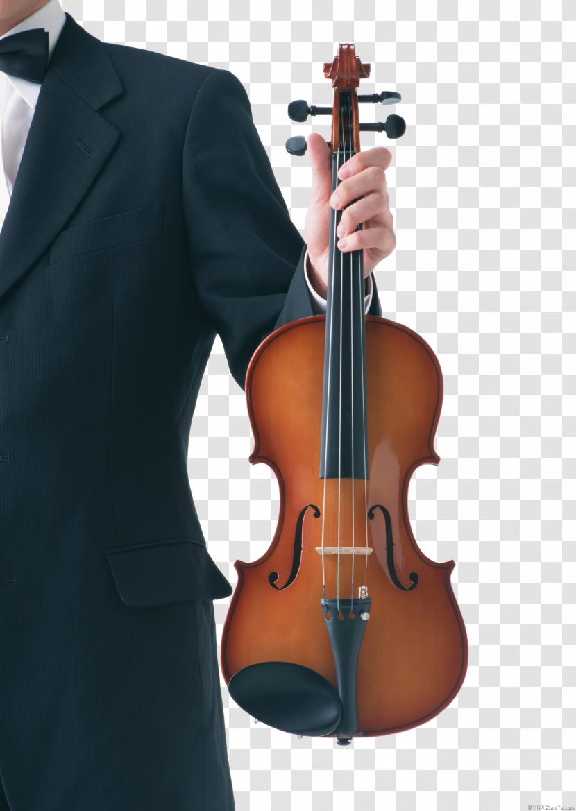 Violin Bow Viola Cello String - Tree - And People Transparent PNG