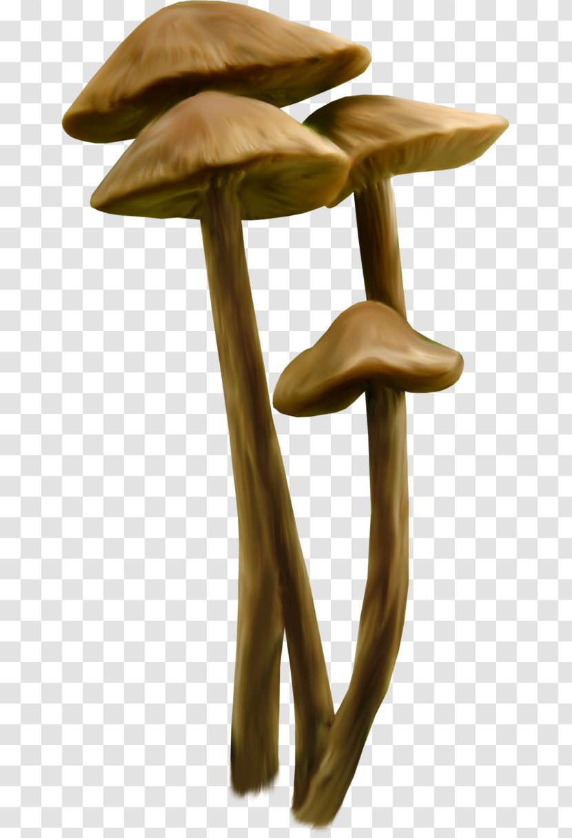 Death Cap Clip Art Adobe Photoshop Fungus - Cloud - Mushroom Transparent PNG