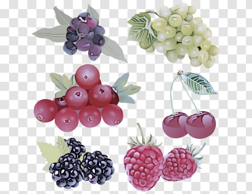 Berry Fruit Plant Seedless Fruit Blackberry Transparent PNG