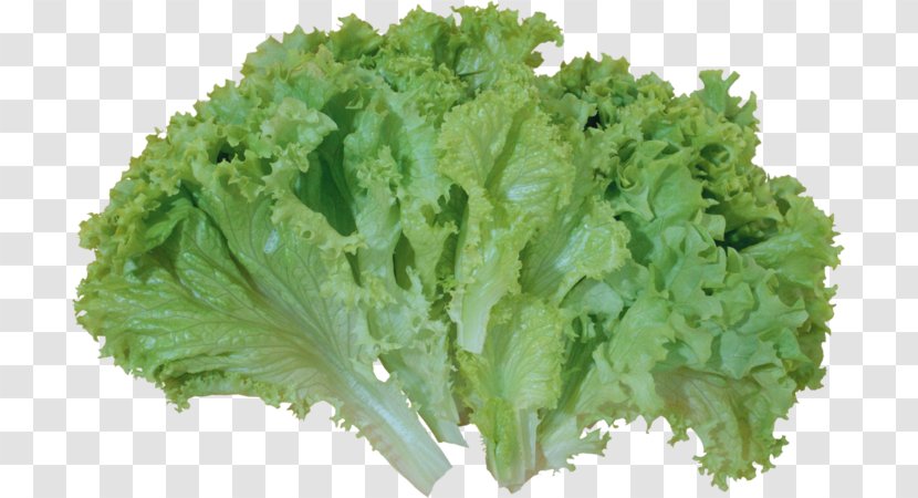 Caesar Salad Lettuce Sandwich Butterhead - Vegetarian Food Transparent PNG
