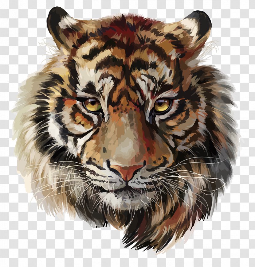 Tiger Watercolor Painting Drawing - Whiskers Transparent PNG