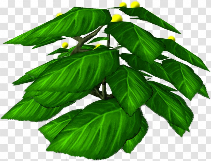 Leaf Tree Herb - Houseplant - Bushes Insignia Transparent PNG