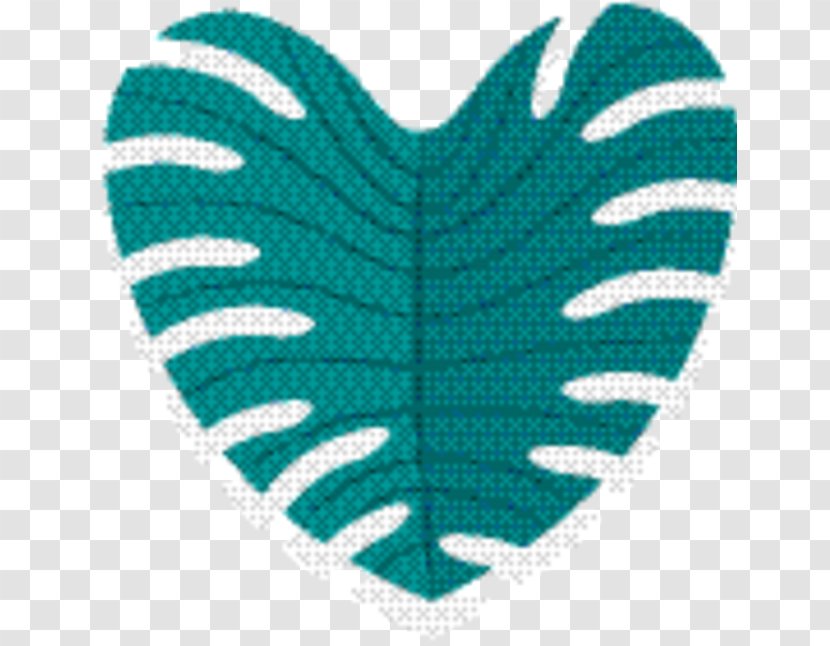 Plant Leaf - Turquoise - Wing Transparent PNG