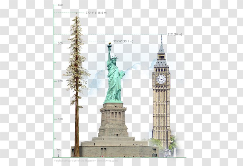 Statue Of Liberty Big Ben Redwood National And State Parks Humboldt Redwoods Park Hyperion Transparent PNG