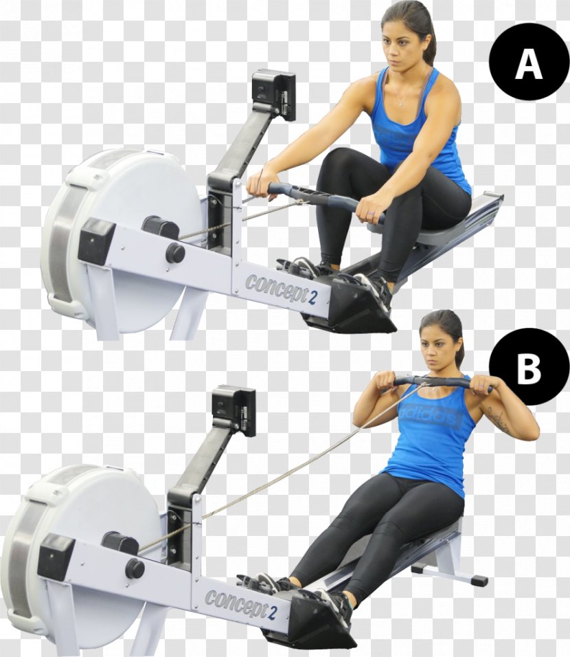 Weight Training Indoor Rower Barbell Weightlifting Machine Transparent PNG