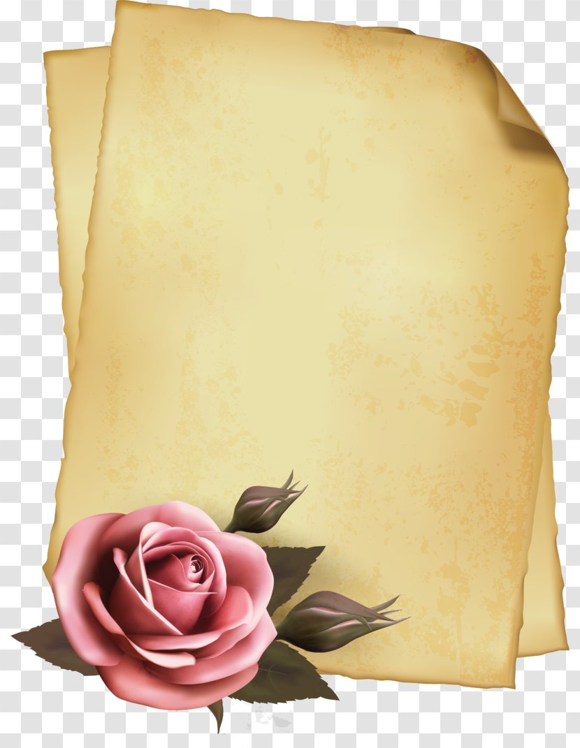 Garden Roses Paper - Rose Order - Pink Pattern Transparent PNG