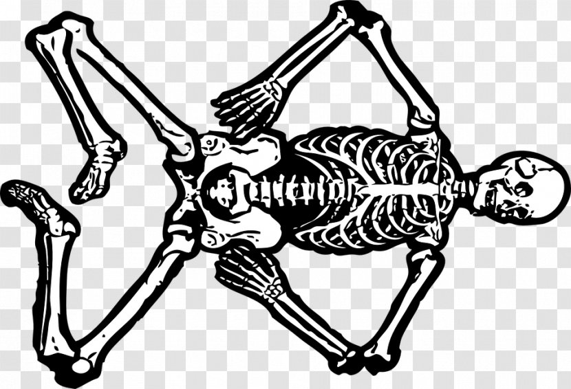 Human Skeleton Skull Clip Art - Hand Transparent PNG