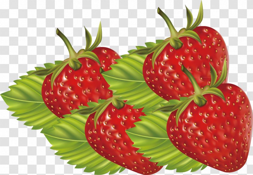 Strawberry Accessory Fruit Aedmaasikas - Decorative Design, Exquisite Patterns Transparent PNG