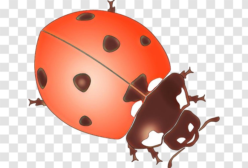 Book Black And White - Helmet - Beetle Transparent PNG