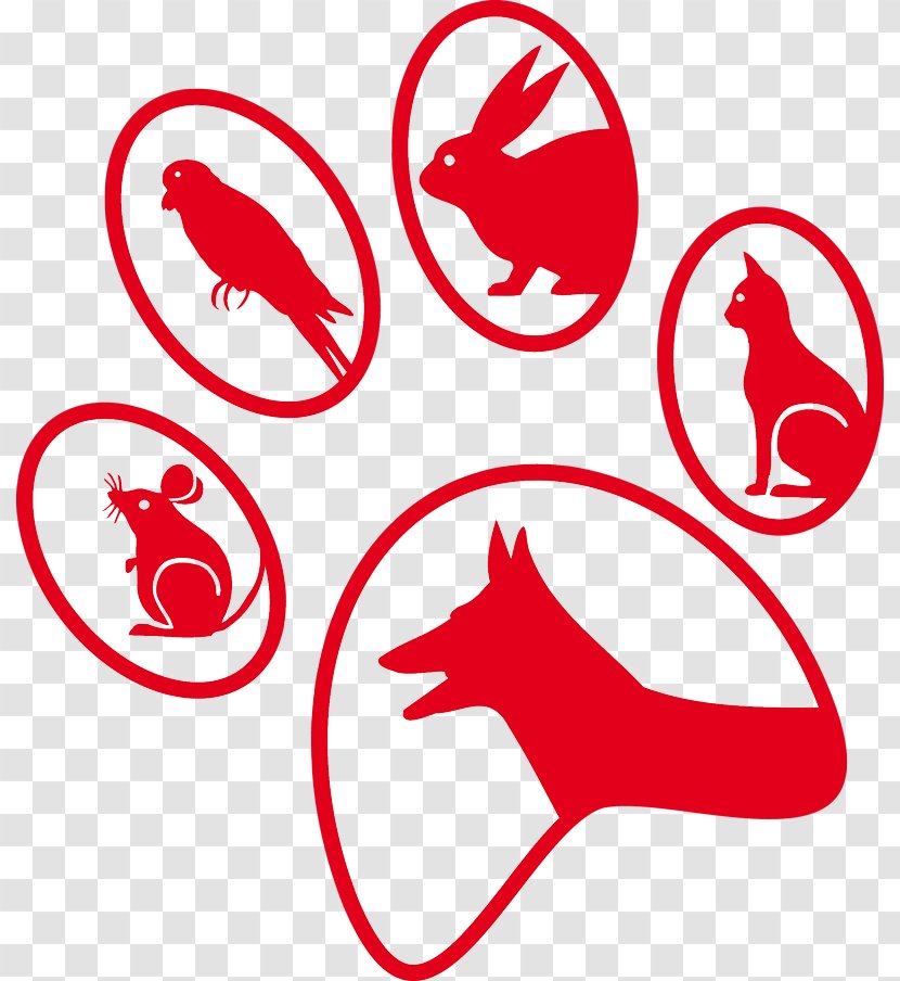 Cat Veterinarian Dog Kleintierpraxis Pet - Veterinary Medicine Transparent PNG