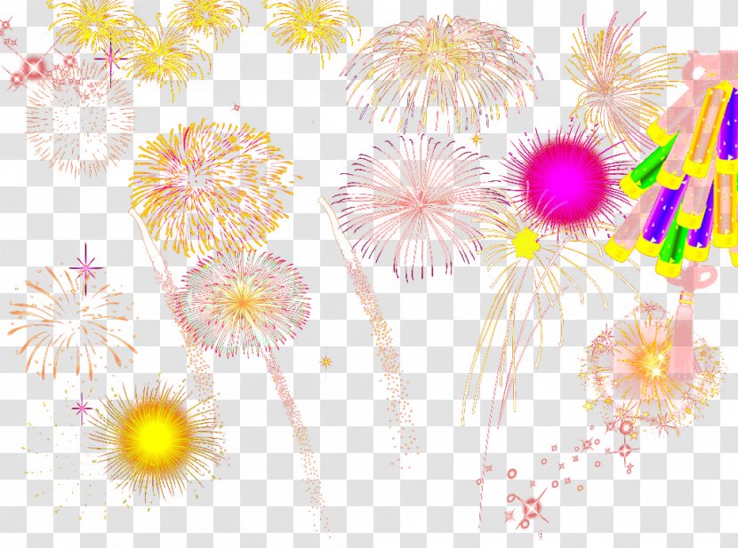 Fireworks Flower Bouquet Firecracker Chrysanthemum Floral Design - Flowering Plant - A Large Collection Of Colored Transparent PNG