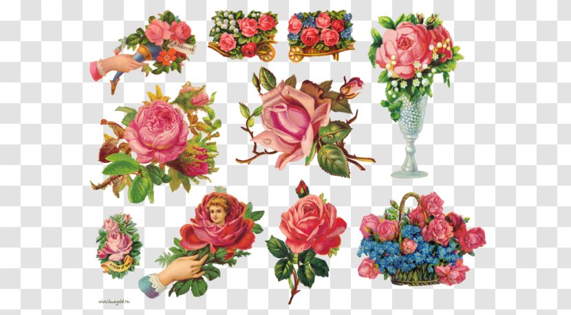 Garden Roses Flower Bouquet Vintage Clothing Clip Art - Rose Order Transparent PNG