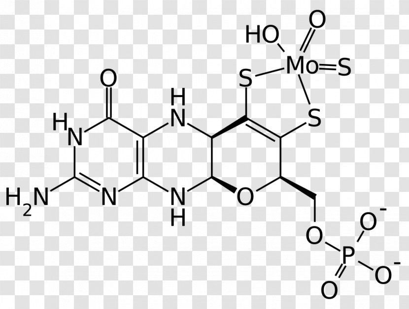 Tyrosine Hydroxylase Chemistry Organic Compound Chemical - Auto Part - Xo Transparent PNG