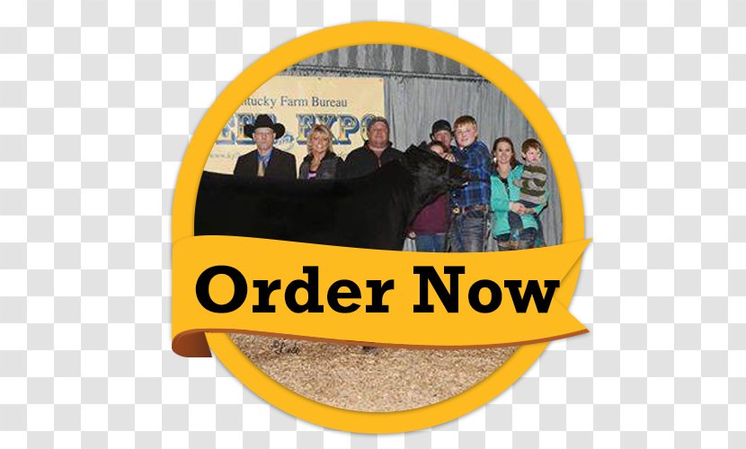Golden Flo Car Dealership Customer Service Taylorville, IL - Illinois - Order Now Transparent PNG