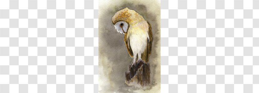 Owl Watercolor Painting Bird Art - Mixed Media Transparent PNG