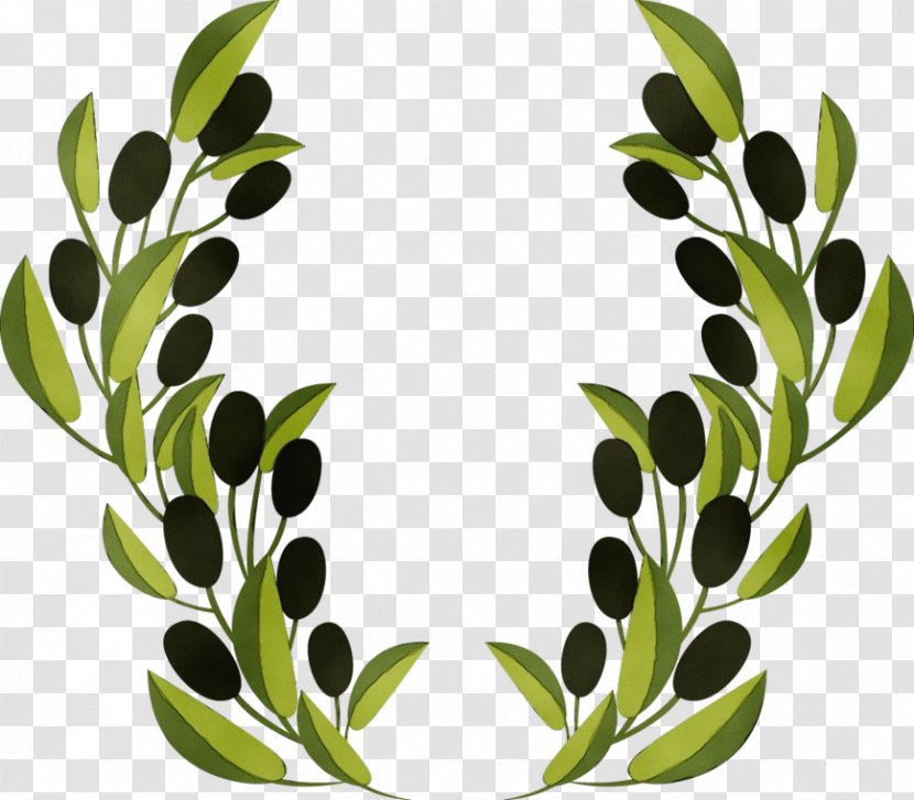 Leaf Green Plant Olive Clip Art - Grass Branch Transparent PNG