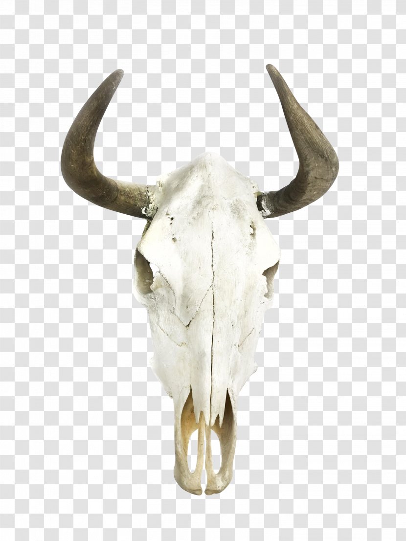 Los Angeles Horn Wildebeest Cattle Design - Bull Transparent PNG