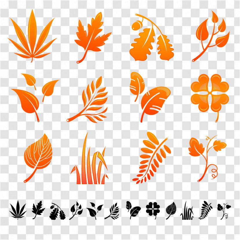 Autumn Leaf Color - Petal - Leaves Transparent PNG