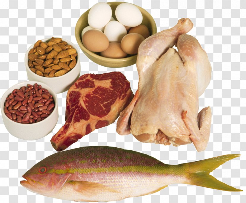 High-protein Diet Food Eating - Weight Loss - Non-veg Transparent PNG