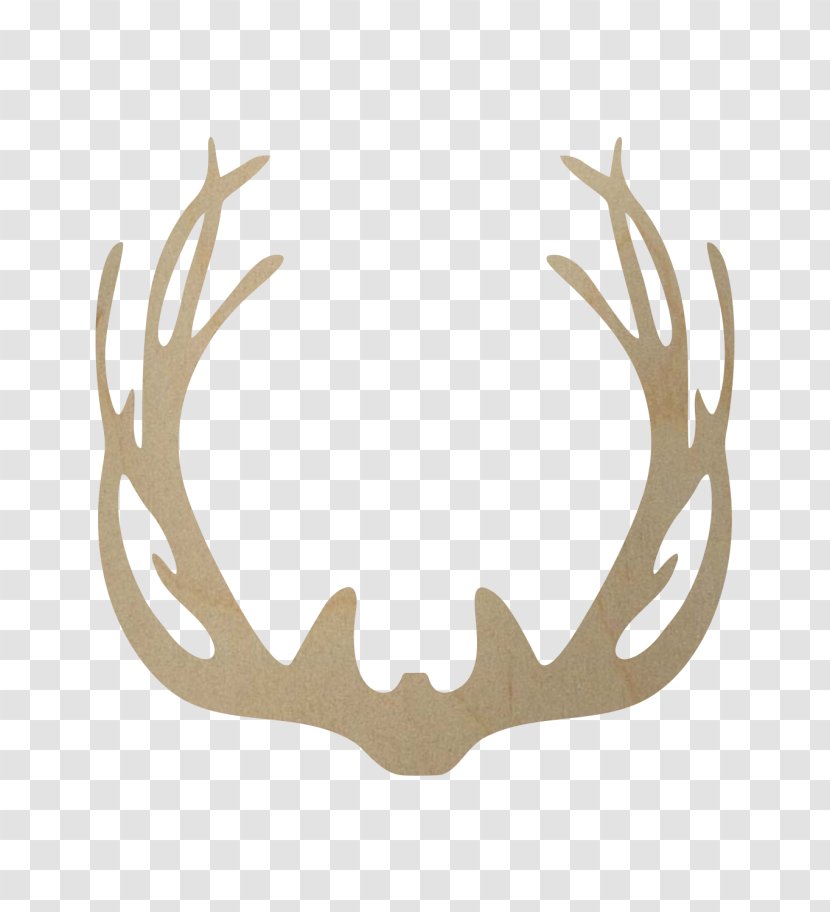 White-tailed Deer Antler Elk Horn Transparent PNG