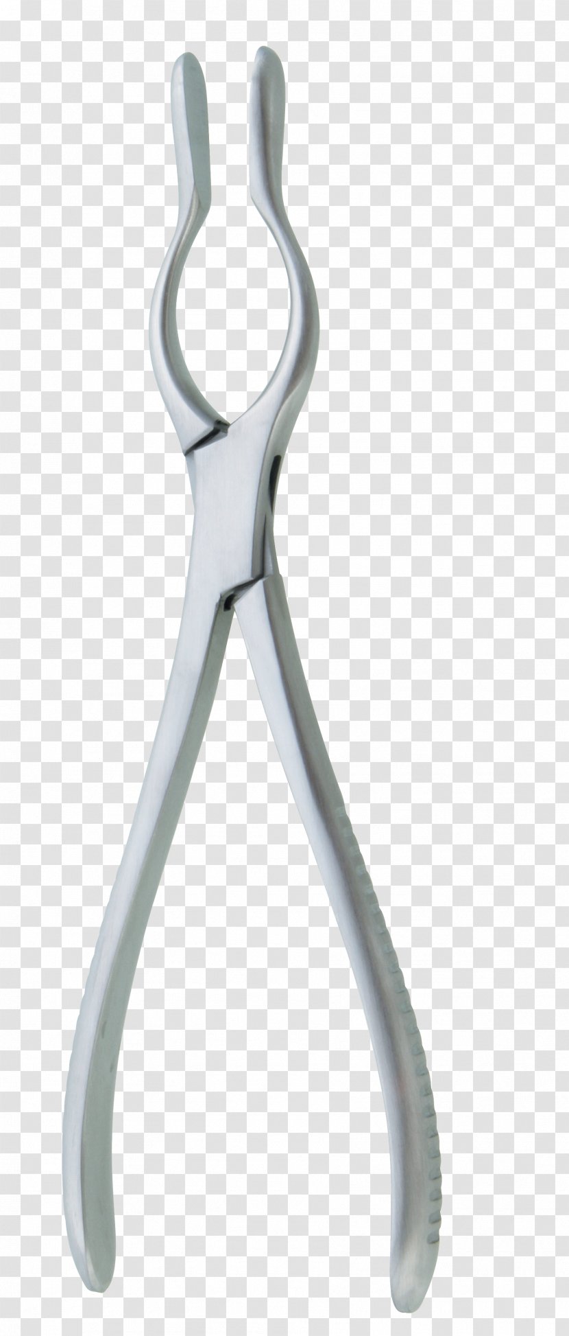 Pliers Nipper Transparent PNG