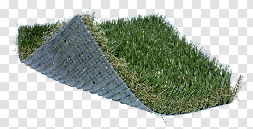 Artificial Turf Lawn Landscaping Sod Fescues - Crowngrass - Grasses Transparent PNG