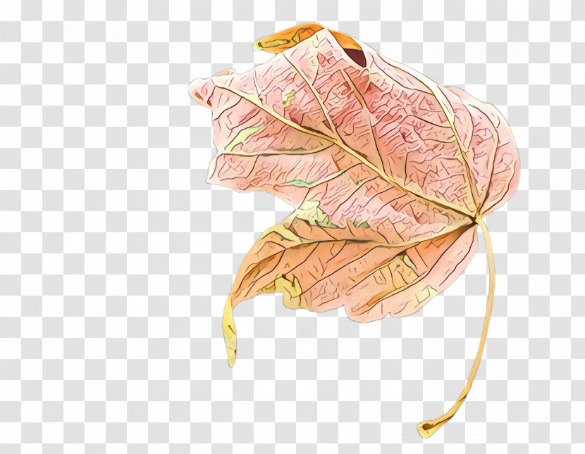 Maple Leaf Transparent PNG