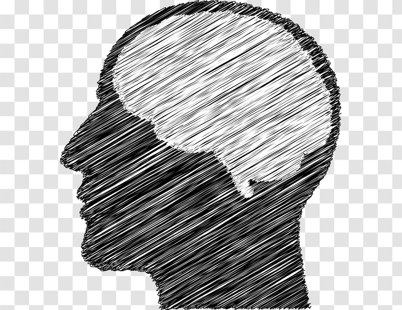 Brain - Auto Part - Doodle Transparent PNG