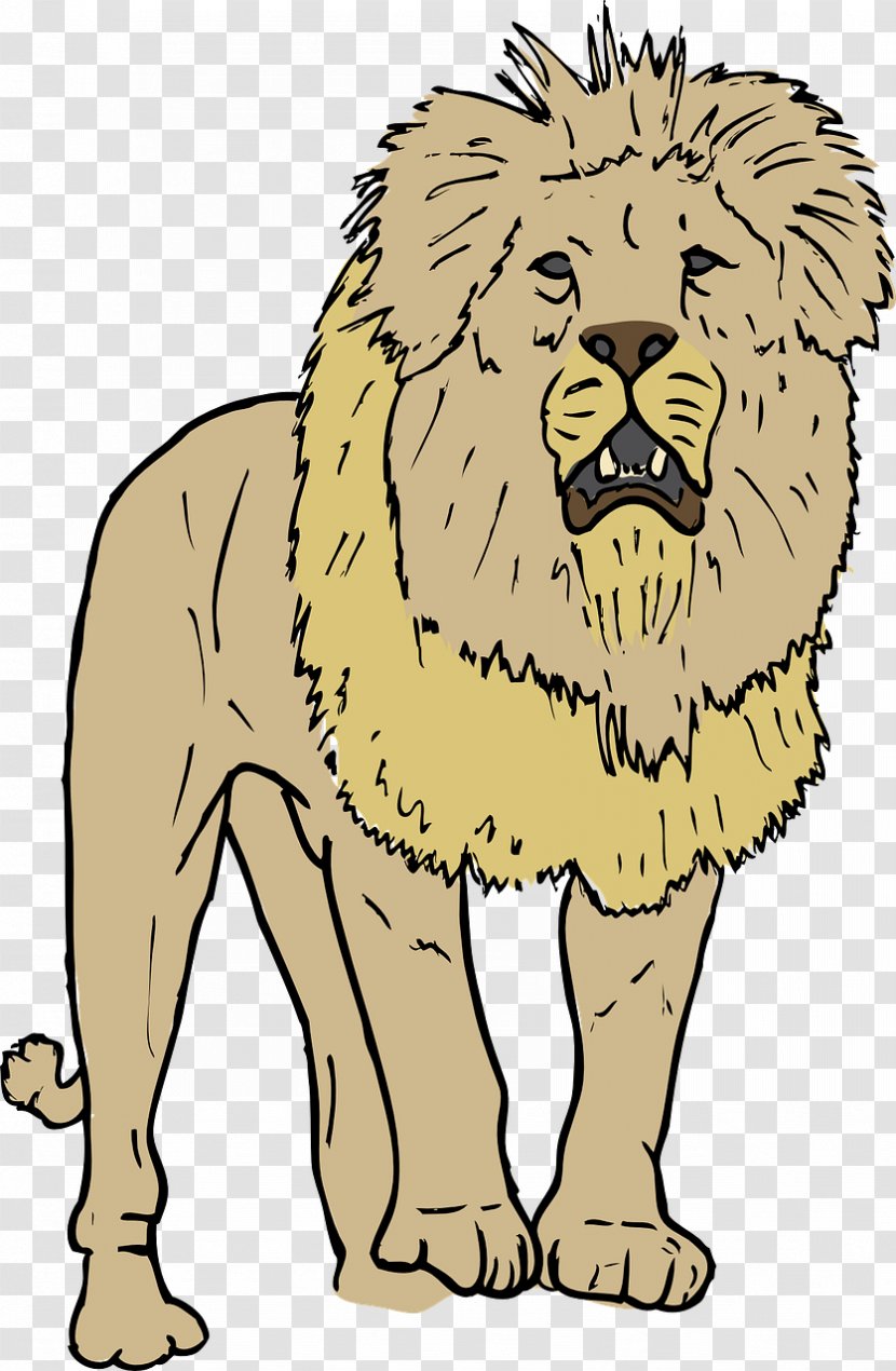 Lion Roar Clip Art - Wildlife Transparent PNG