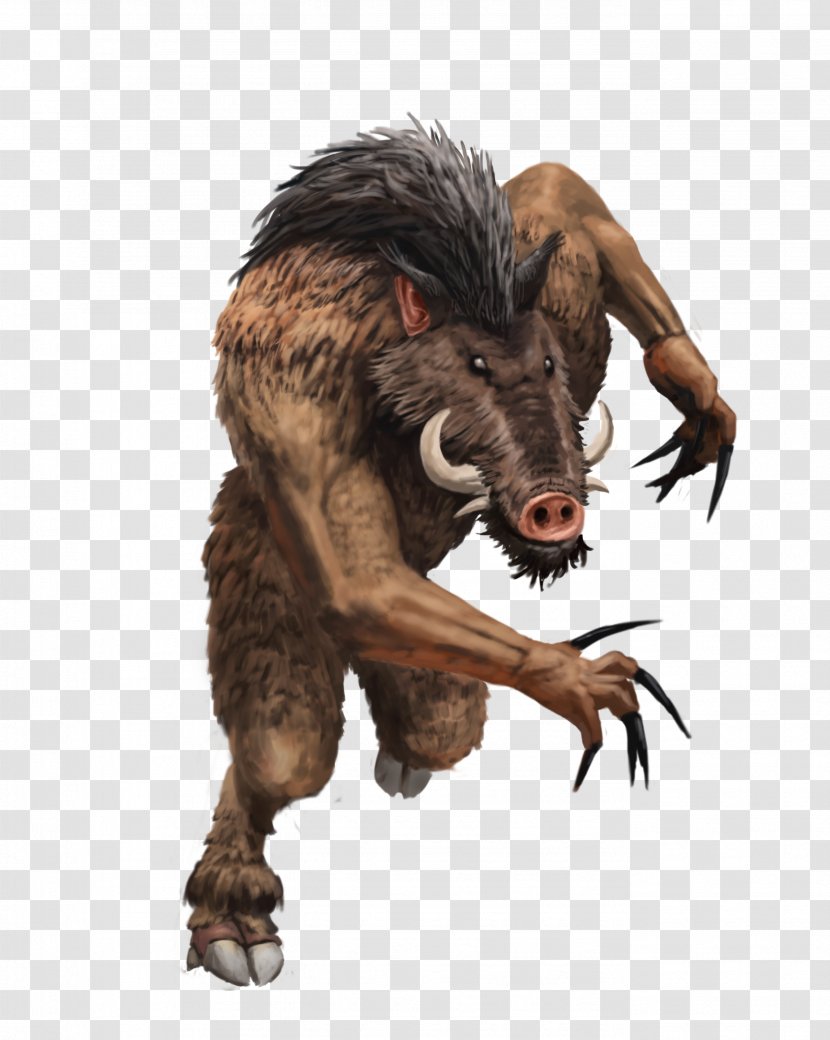 Dungeons & Dragons Wereboar Lycanthrope Dungeon Crawl Legendary Creature Transparent PNG