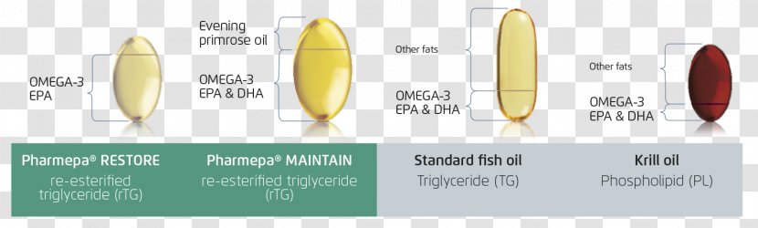 Triglyceride Paper .travel Brand - Ester - Omega3 Fatty Acid Transparent PNG