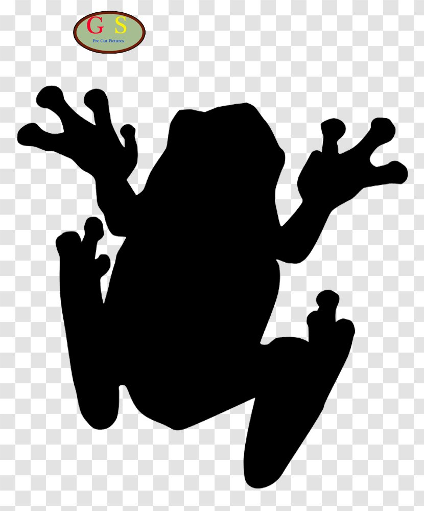 The Tree Frog Toad Clip Art - Amphibian - J Transparent PNG