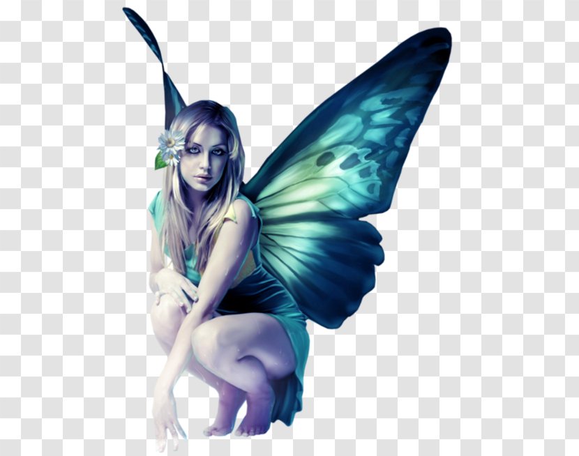 Desktop Wallpaper Fairy Elf - Pollinator - La Vie Est Belle Transparent PNG