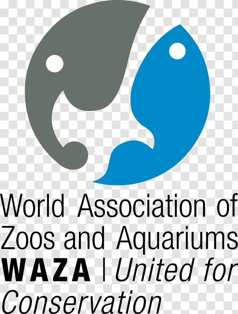 London Zoo Virginia Zoological Park Ocean Hong Kong World Association Of Zoos And Aquariums - African Lion Safari Transparent PNG