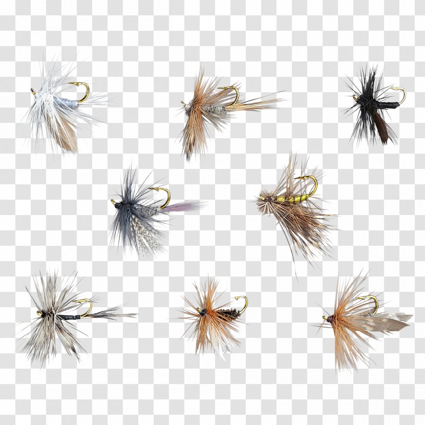 Fishing Baits & Lures Artificial Fly Rods Tackle - Invertebrate - Flying Nymph Transparent PNG